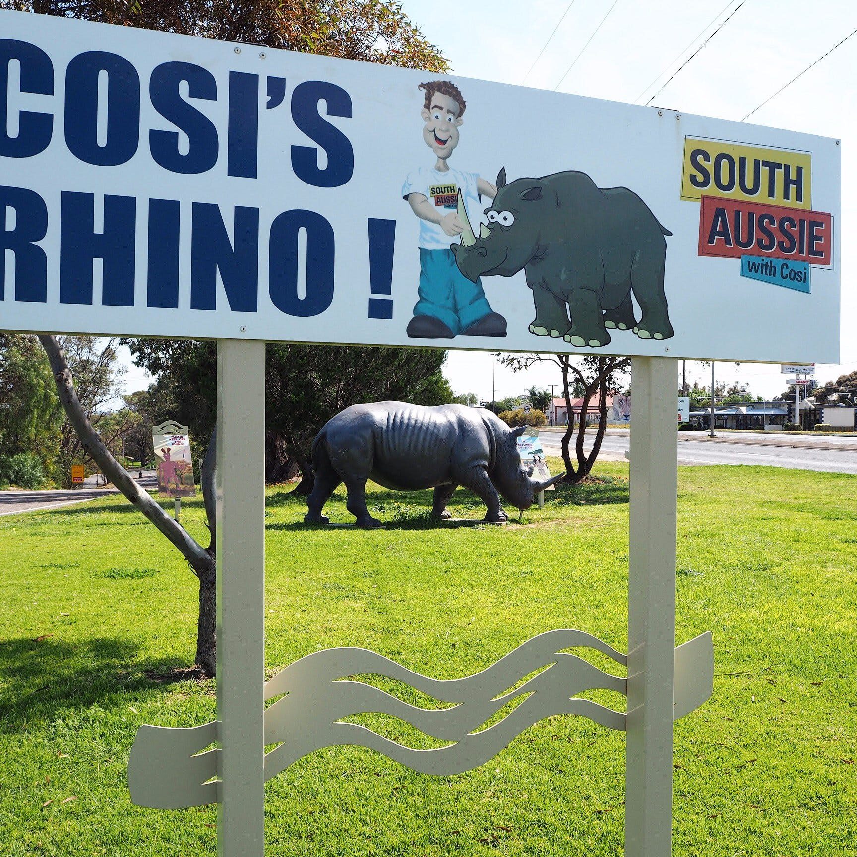 Cosi's Rhino - Tailem Bend, SA