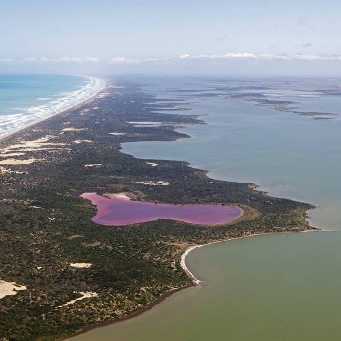 Coorong National Park - Coorong, SA