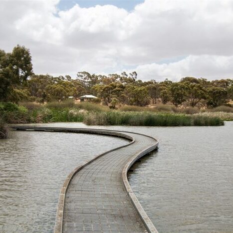 Swanport Wetlands - Murray Bridge SA